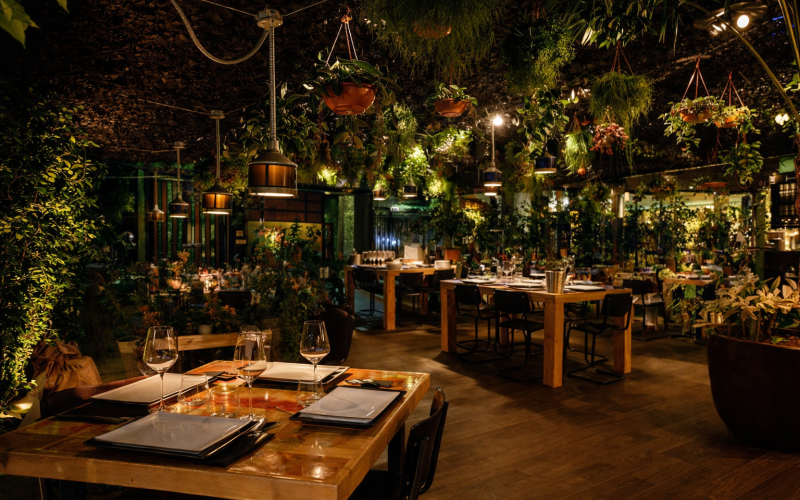 Cafe Concierto en Talamanca