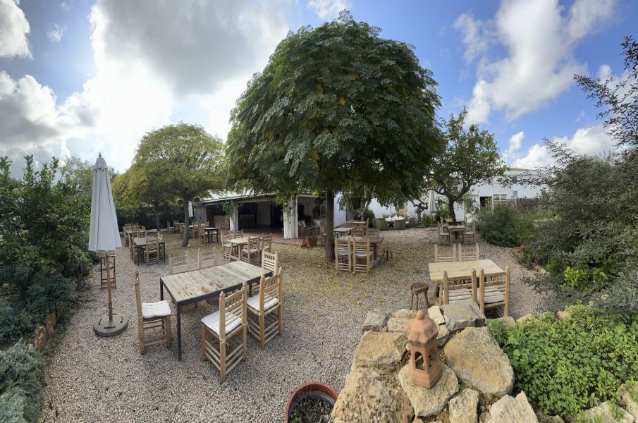 Restaurante en Santa Gertrudis