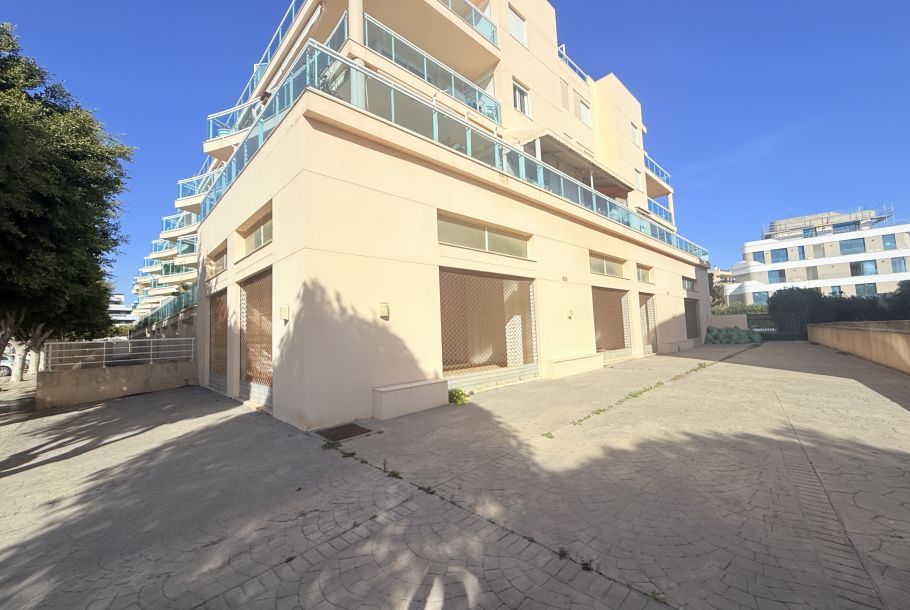 PREMISES IN CALLE MEDITERRANEA